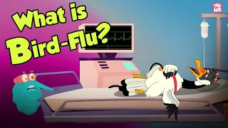 What Causes Bird Flu? | BIRDFLU Pandemic | Virus | Dr Binocs Show | Peekaboo Kidz