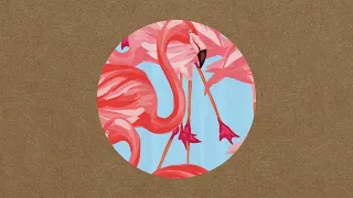 Marcu Rares - Flamingo Around