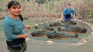 Use a fishing net to scoop up big fish and sell them to make a living. The girl's life on the lake.