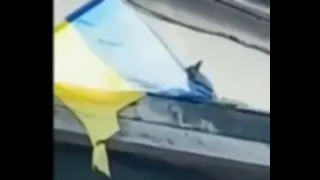 Russian separatist squirrel attack ukranian flag