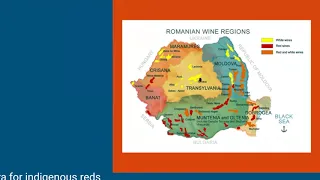 Eastern Europe, Eastern Mediterranean, Cradle of Winemaking