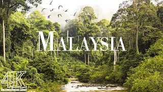 Malaysia 4K Ultra HD • Stunning Footage Malaysia | Relaxation Film With Calming Music - 4k Videos