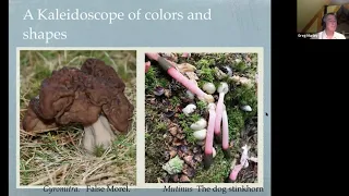 Rockland Public Library: Foraging for Edible Mushrooms Talk with Greg Marley