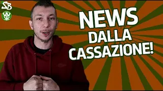 AGGIORNAMENTI SUL REFERENDUM DALLA CORTE DI CASSAZIONE!