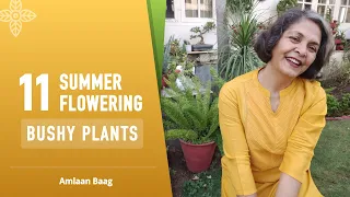 11 Summer Flowering Bushy Plants | बालकनी या ज़मीन में लगने वाले 11 गर्मी के फूल