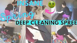 🌸 SPRING DEEP CLEAN WITH ME 2022 | WHOLE HOUSE CLEAN WITH ME | EXTREME CLEANING MOTIVATION