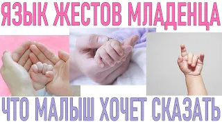 ЧТО ХОЧЕТ НОВОРОЖДЕННЫЙ РЕБЕНОК | Краткое руководство по языку жестов младенцев