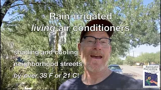 Rain-Irrigated LIVING Air Conditioners shading and cooling neighborhood streets by 38˚F or 21˚C!