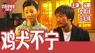 《鸡犬不宁》国产经典老电影 4K 国语 华语彩色故事片 主演：徐帆、李易祥、王宏伟 #华语老电影📽