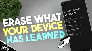 How to Erase What Your Device Has Learned Using Android System Intelligence