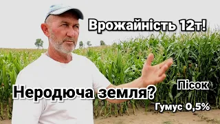 Найгірша земля в Україні! Як фермер вирощує до 120ц/га на піску? Система капельного зрошення від ФАО