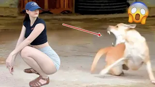 Funny Cats and Dogs Videos 🤣 - Funniest Animal Videos 2023! 🥰 #90