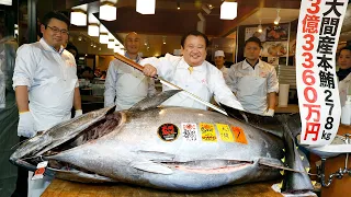 O MELHOR DO JAPÃO - O MAIOR MERCADO DE PEIXES DO MUNDO