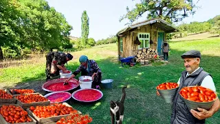 Prepare Natural and Very Tasty Tomato Paste. Fried Green Beans.