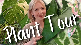 HOUSEPLANT TOUR - AUTUMN/FALL 2022 | 70+ Plants | They grew so big!!!