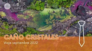 Viaje a Caño Cristales y La Macarena con Itinerant Lawyer (septiembre 2022)