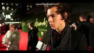 Harry Styles -British Fashion Awards 2013 - Red Carpet Interviews