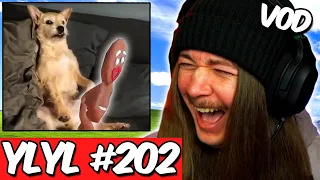 If I Laugh, The Video Ends #202 FULL VOD!