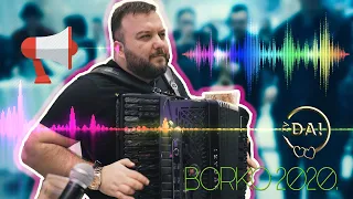 BORKO RADIVOJEVIC - ZVUCNI UDAR 🔊🔊🔊