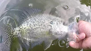 Crappie Fishing With A Jig and Bobber