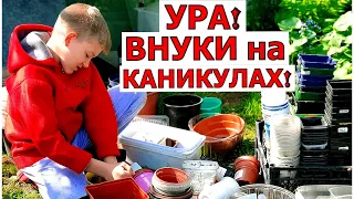 Теперь есть кому помогать/ Борисыч опять на коленях/ Это средство моет всё