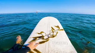 LONGBOARDING SANTA CRUZ | Surfing The Hook | RAW POV