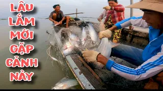 Đàn Cá Bao Vây Ghe Lưới Anh Tèo , Ba Năm Mới Thấy Lại Cảnh Này | #66TV #fishing