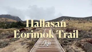 Korea | Jeju | Hallasan Hike | Eorimok Trail