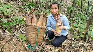 Harvesting Bamboo shoots beginning Going to the market Selling - Taking care pets | Ly Thi Lang