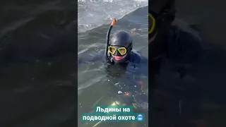 Чуть не ушел под лед 🧊 на подводной охоте 🥶, река Волга - март 2023  #подводнаяохота #spearfishing