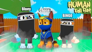 CHASE DE PAW PATROL, BLUEY Y BINGO SON NINJAS EN LA PLASTILINA TROLL 😂