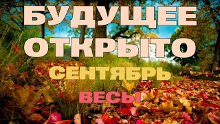 🍁ВЕСЫ - таро прогноз на СЕНТЯБРЬ 2023. Расклад на месяц. Таро КЛЕВЕР🍀