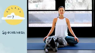 Day 7 - Synchronize  |  BREATH - A 30 Day Yoga Journey