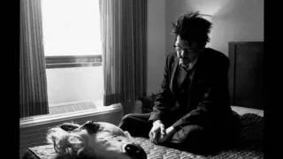 Sparklehorse - Dog Door (lyrics).wmv