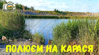 Прийшли за карасиком, а він як завжди... Галявина з дикою клубнікою.