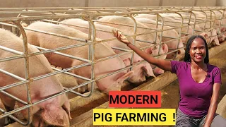 How To Become A Millionaire Through PIG Rearing! | 2022 TIPS!