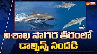 Dolphins Playing At Visakhapatnam Beach | Cutest Video In Internet Today | Sakshi TV