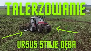 URSUS NA DWA KOŁA✔ OPOROWE TALERZOWANIE✔ 2x URSUS, 1x ZETOR✔ AGRO SZYMON FARM✔