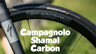 Présentation des roues Camapgnolo Shamal Carbon Disc