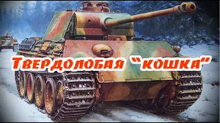 Что показал обстрел танка Пантера на Научно испытательном бронетанковом полигоне в 1943 году