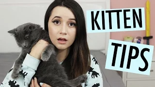 THINGS I WISH I KNEW BEFORE GETTING A KITTEN| AmyCrouton