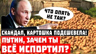 Скандал, картошка подешевела! Путин, зачем ты всё испортил?