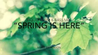 "Spring Is Here" ~ Liquid Drum & Bass Mix