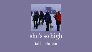 she's so high (tal bachman) SPED UP + PITCHED