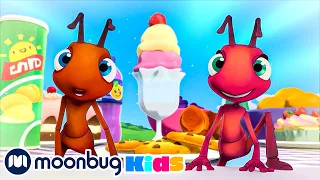 Ants at a Picnic | Moonbug Kids TV Shows - Full Episodes | Cartoons For Kids