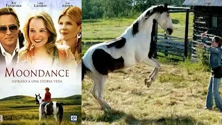 MOONDANCE ALEXANDER Lifetime New Romance Movie Based on true story