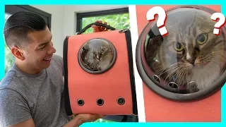 Buying Our Cats Weird Cat Products