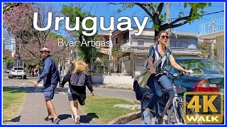 【4K】WALK Montevideo Uruguay 4K video WALKING UY Travel vlog