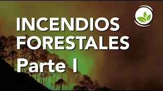 Incendios forestales parte I (¿Qué son?, Causas, tipos)