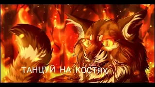 Звездоцап - Танцуй на костях - клип